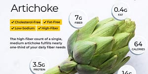 Cultivation Guidelines for Growing Artichoke Vegetables